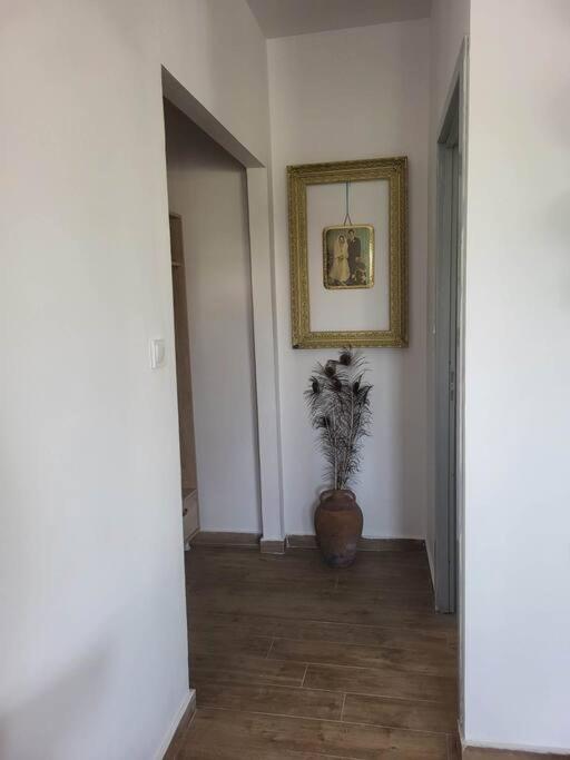Greek Memories Boutique Studio Фалираки Экстерьер фото